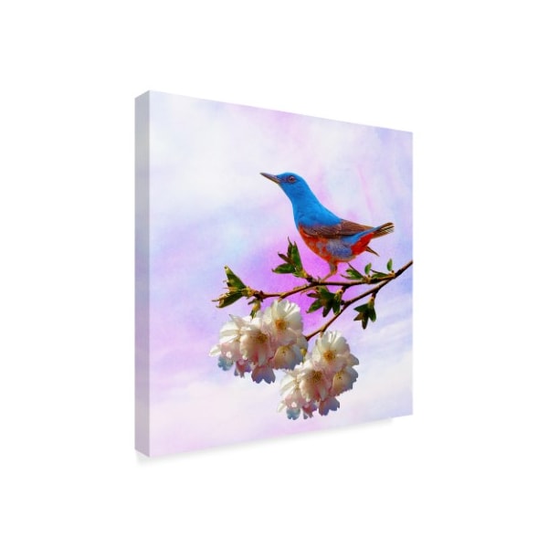 Ata Alishahi 'Spring Bird 3B' Canvas Art,35x35